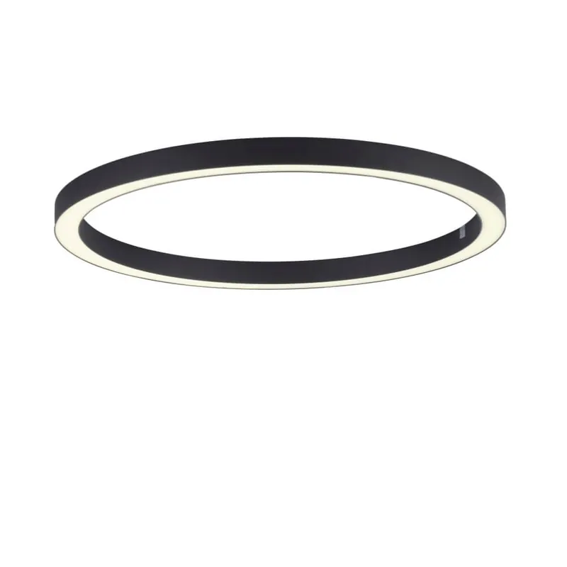 Op = Op Paul Neuhaus - Ronde vloerlamp Pure Lines Round Ø 70cm antraciet