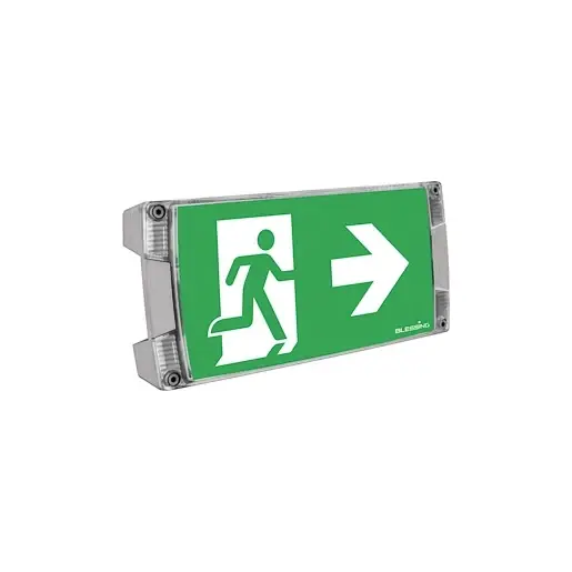 Direct Beschikbaar Eaton Blessing Atlantic noodverlichtingsarmatuur Vluchtwegverlichting/-indicatie Wandopbouw grijs IP65 40071354890