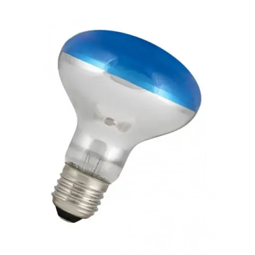 Bailey E27 led-lamp filament 80lm R80 115mm 120° 220 - 240V Helder glas blauw 80100038664 Betaalbaar