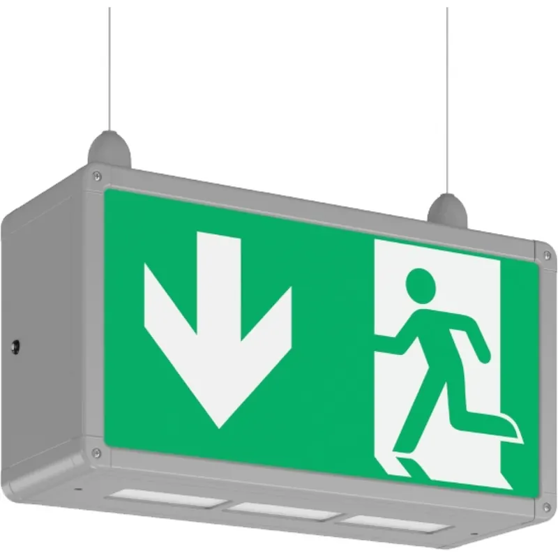 RZB Rechteck 360 LED Noodverlichtingsarmatuur Vluchtwegindicatie Opbouw/inbouw aluminium IP44 met pictogram 672712.004.1.89 Finale Uitverkoop