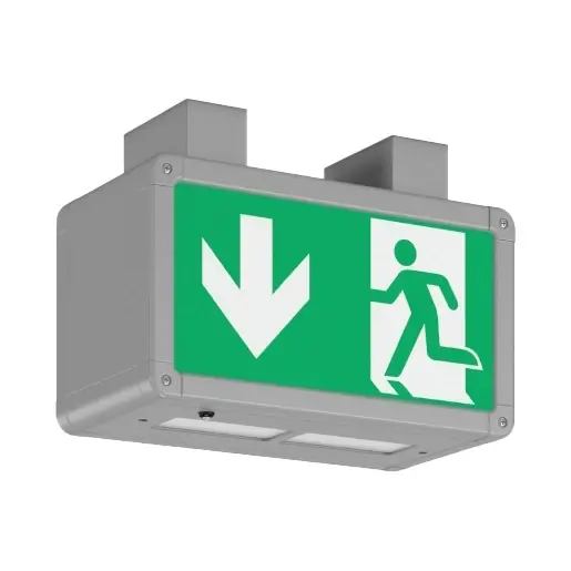 Hete Deal RZB Rechteck 250 LED Noodverlichtingsarmatuur Vluchtwegindicatie Plafondopbouw aluminium IP44 met pictogram 671053.004.1