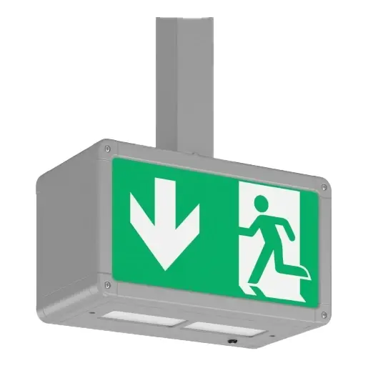RZB Rechteck 250 LED Noodverlichtingsarmatuur Vluchtwegindicatie Pendel zilver IP44 met pictogram 671057.004.1.04 Hete Deal