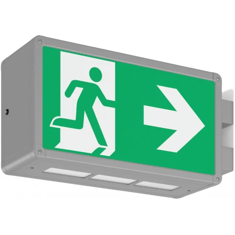 Veilige Betaling RZB Rechteck 360 LED Noodverlichtingsarmatuur Vluchtwegindicatie Steunbeugel aluminium IP44 met pictogram 671217.004.1.89