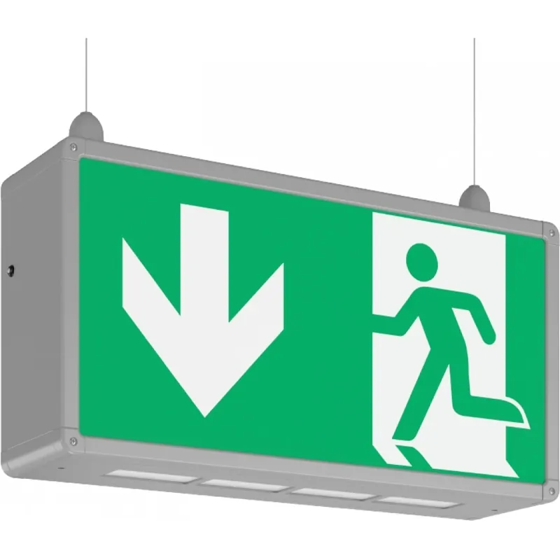 RZB Rechteck 485 LED Noodverlichtingsarmatuur Vluchtwegindicatie Opbouw/inbouw aluminium IP44 met pictogram 671351.004.1.04 Nieuw